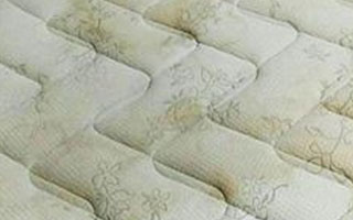 dust-mites-mattress